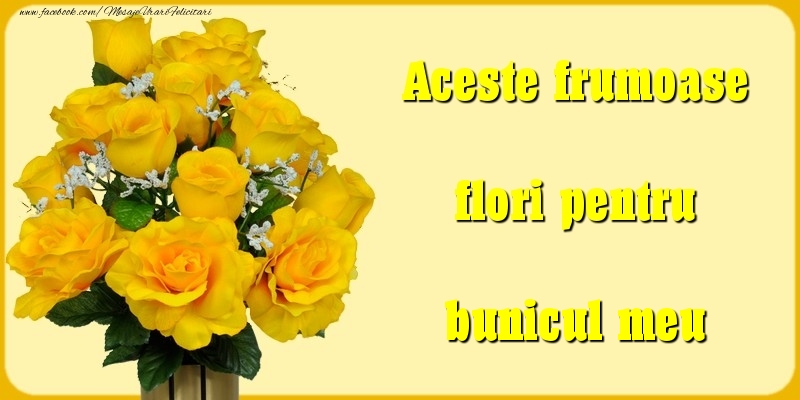 Felicitari Diverse pentru Bunic - Aceste frumoase flori pentru bunicul meu
