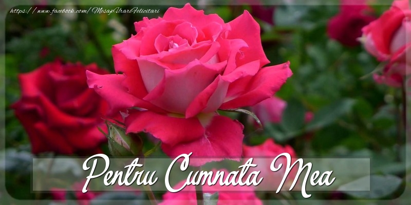 Felicitari Diverse pentru Cumnata - Pentru cumnata mea