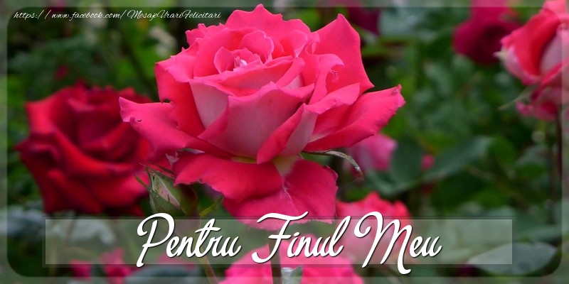 Felicitari Diverse pentru Fin - Pentru finul meu