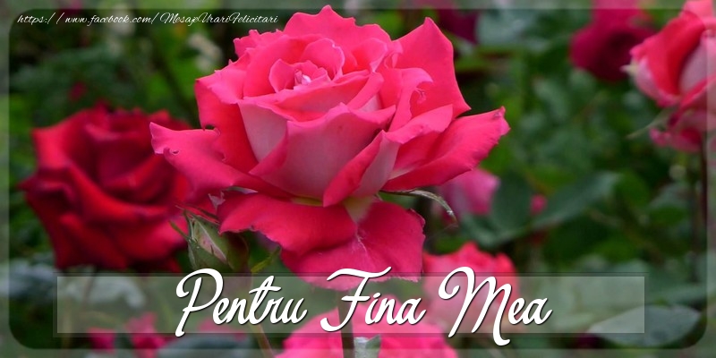 Felicitari Diverse pentru Fina - Pentru fina mea