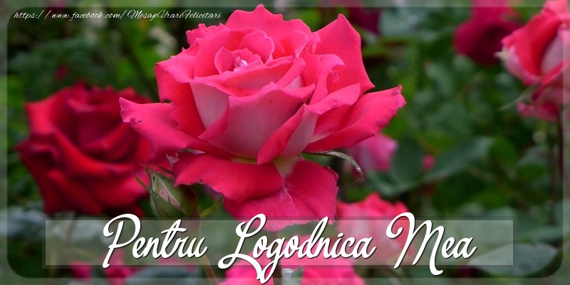 Felicitari Diverse pentru Logodnica - Pentru logodnica mea