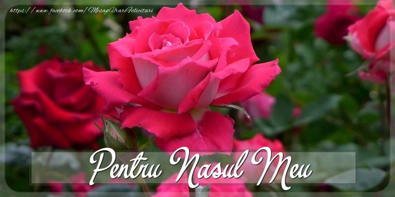Felicitari Diverse pentru Nas - Pentru nasul meu