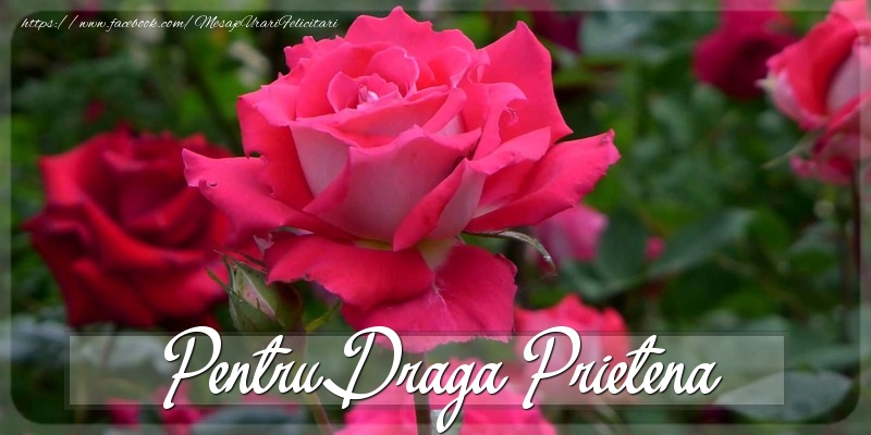 Felicitari Diverse pentru Prietena - Pentru draga prietena