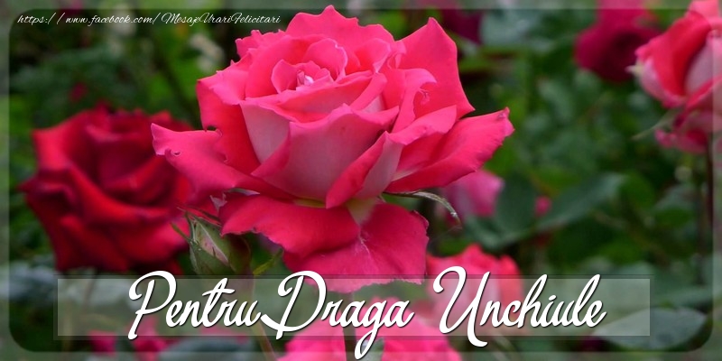Felicitari Diverse pentru Unchi - Pentru draga unchiule
