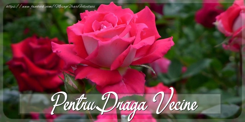 Felicitari Diverse pentru Vecin - Pentru draga vecine