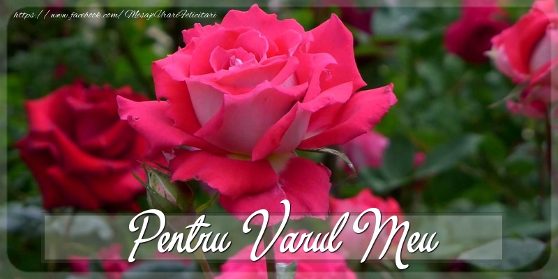 Felicitari Diverse pentru Verisor - Pentru varul meu