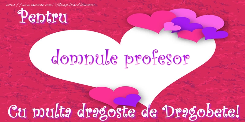 Felicitari de Dragobete pentru Profesor - Pentru domnule profesor Cu multa dragoste de Dragobete!