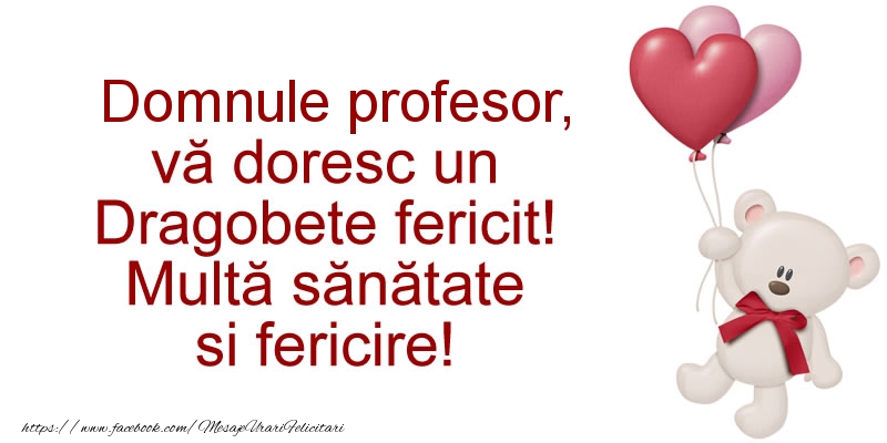 Felicitari de Dragobete pentru Profesor - Domnule profesor va doresc un Dragobete fericit! Multa sanatate si fericire!