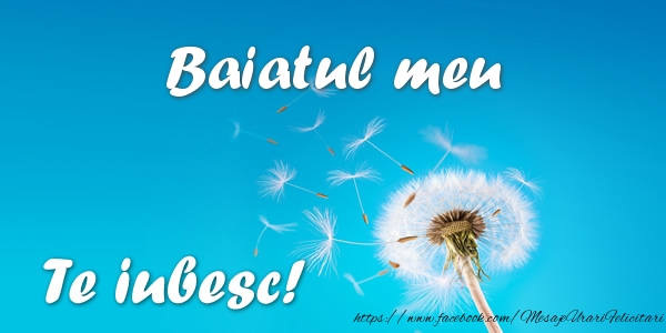 Felicitari de dragoste pentru Baiat - Baiatul meu Te iubesc!
