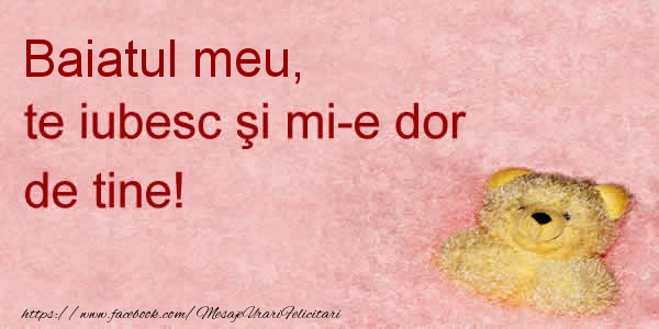 Felicitari de dragoste pentru Baiat - Baiatul meu te iubesc si mi-e dor de tine!