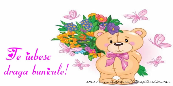 Felicitari de dragoste pentru Bunic - Te iubesc draga bunicule!