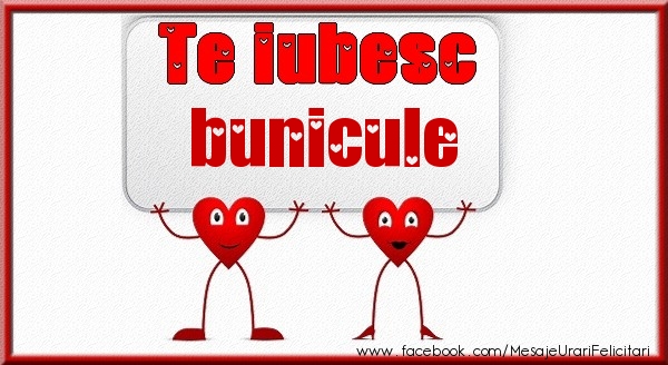 Felicitari de dragoste pentru Bunic - Te iubesc bunicule