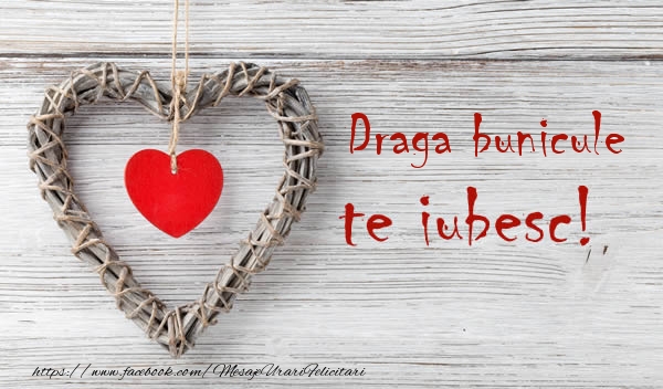 Felicitari de dragoste pentru Bunic - Draga bunicule, Te iubesc