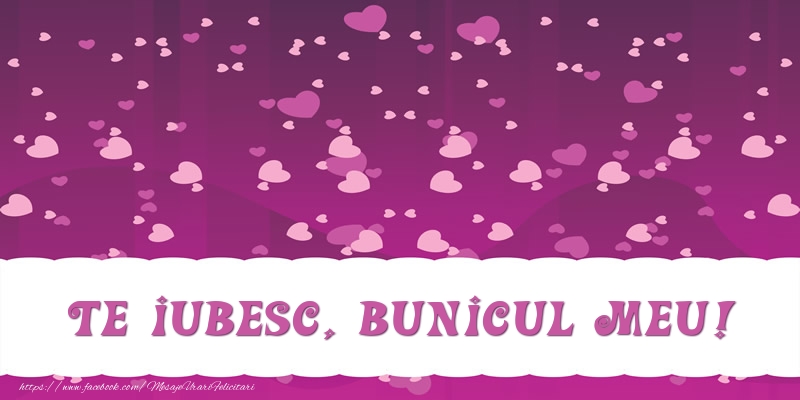 Felicitari de dragoste pentru Bunic - Te iubesc, bunicul meu!