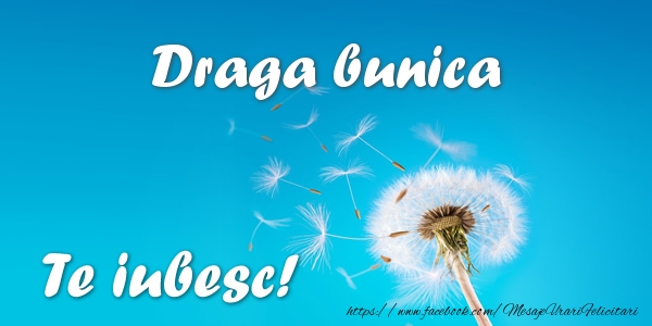 Felicitari de dragoste pentru Bunica - Draga bunica Te iubesc!