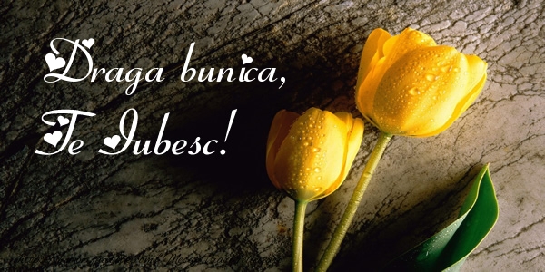 Felicitari de dragoste pentru Bunica - Draga bunica, Te iubesc!