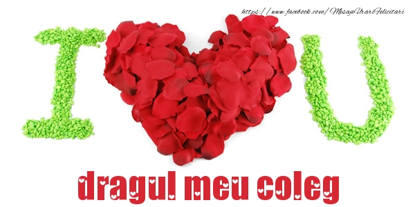 Felicitari de dragoste pentru Coleg - I love you dragul meu coleg