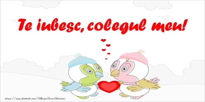 Felicitari de dragoste pentru Coleg - Te iubesc, colegul meu!