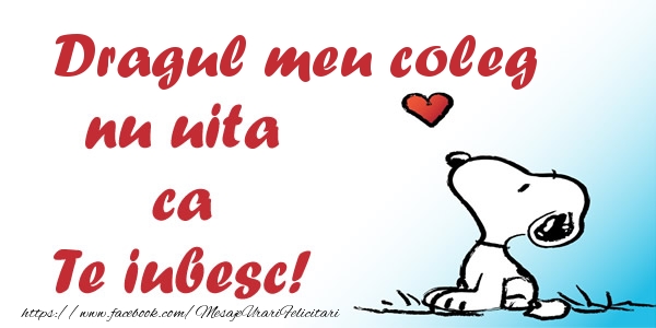 Felicitari de dragoste pentru Coleg - Dragul meu coleg nu uita ca Te iubesc!