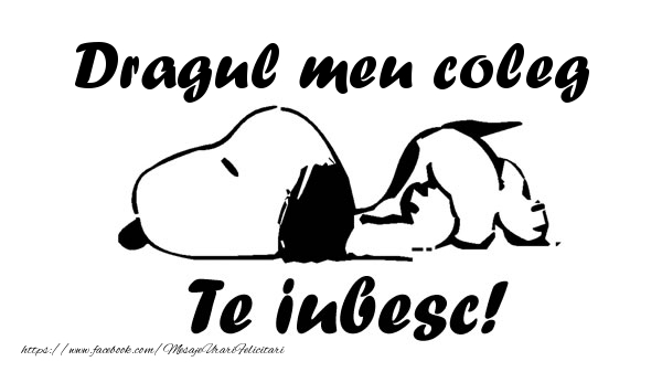 Felicitari de dragoste pentru Coleg - Dragul meu coleg Te iubesc!