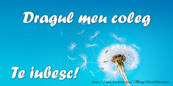 Felicitari de dragoste pentru Coleg - Dragul meu coleg Te iubesc!