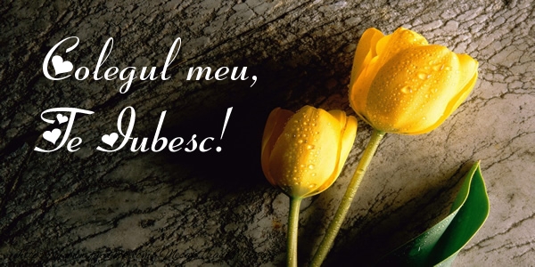 Felicitari de dragoste pentru Coleg - Colegul meu, Te iubesc!