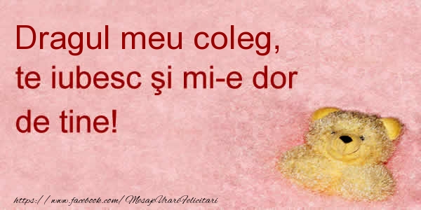 Felicitari de dragoste pentru Coleg - Dragul meu coleg te iubesc si mi-e dor de tine!