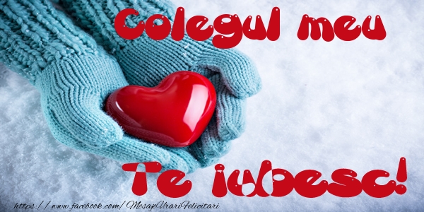 Felicitari de dragoste pentru Coleg - Colegul meu Te iubesc!