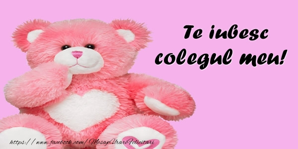 Felicitari de dragoste pentru Coleg - Te iubesc colegul meu!