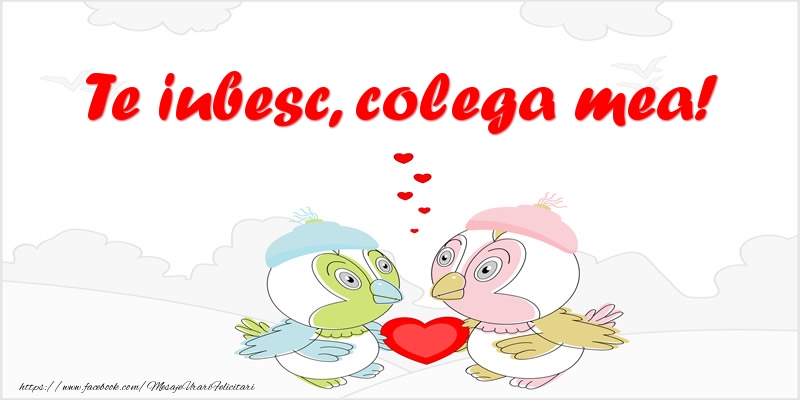 Felicitari de dragoste pentru Colega - Te iubesc, colega mea!
