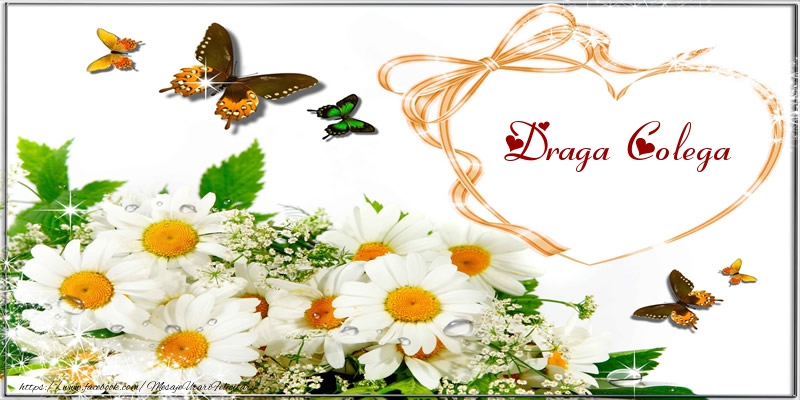 Felicitari de dragoste pentru Colega - I love you draga colega!