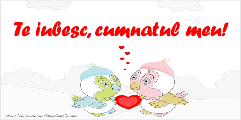 Felicitari de dragoste pentru Cumnat - Te iubesc, cumnatul meu!