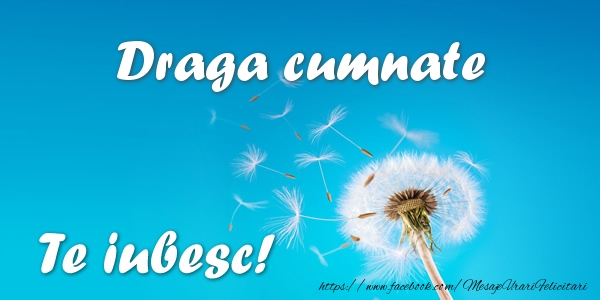 Felicitari de dragoste pentru Cumnat - Draga cumnate Te iubesc!