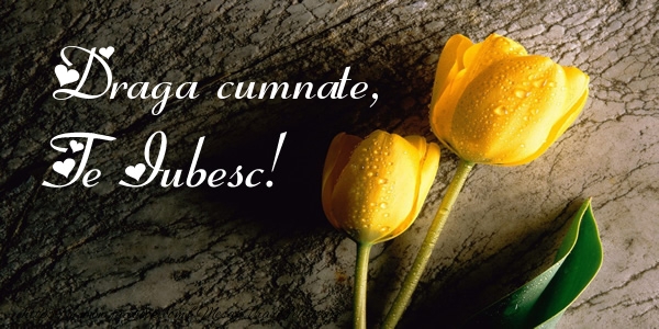 Felicitari de dragoste pentru Cumnat - Draga cumnate, Te iubesc!