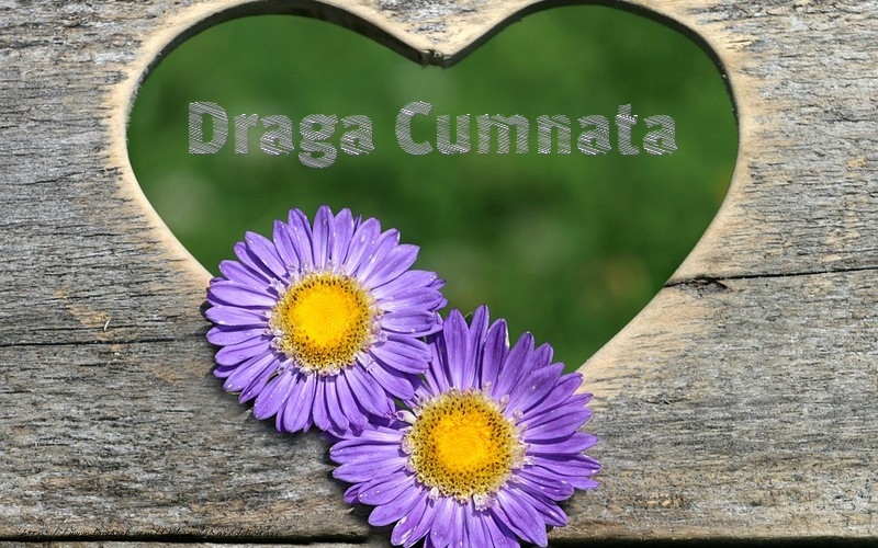 Felicitari de dragoste pentru Cumnata - Draga cumnata