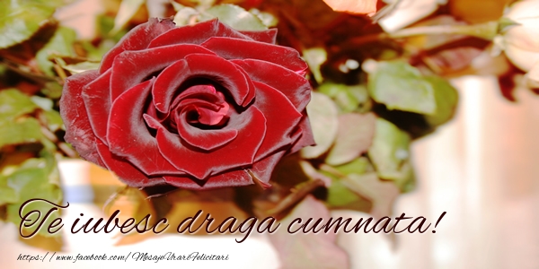 Felicitari de dragoste pentru Cumnata - Te iubesc draga cumnata!