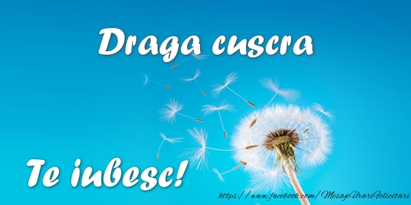 Felicitari de dragoste pentru Cuscra - Draga cuscra Te iubesc!