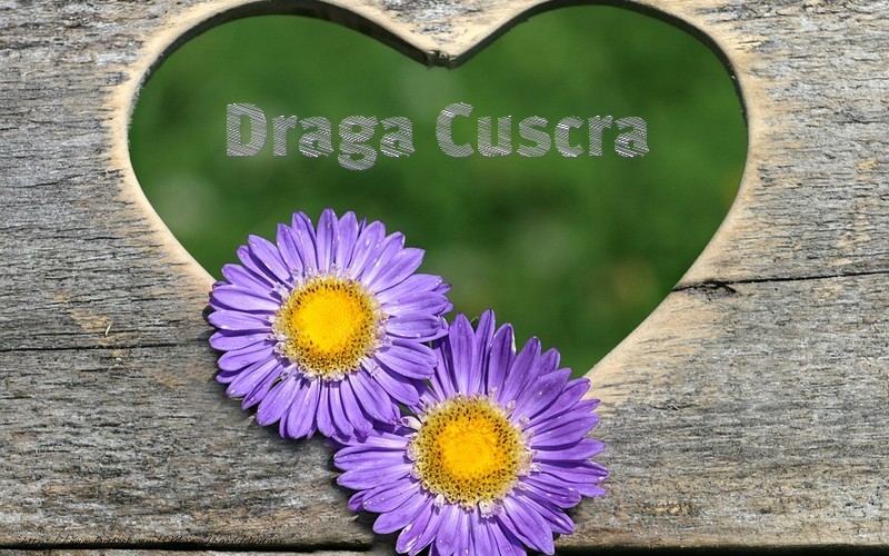 Felicitari de dragoste pentru Cuscra - Draga cuscra