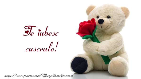Felicitari de dragoste pentru Cuscru - Te iubesc cuscrule!