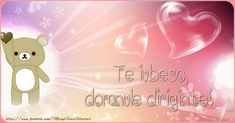 Felicitari de dragoste pentru Diriginte - Te iubesc, domnule diriginte!