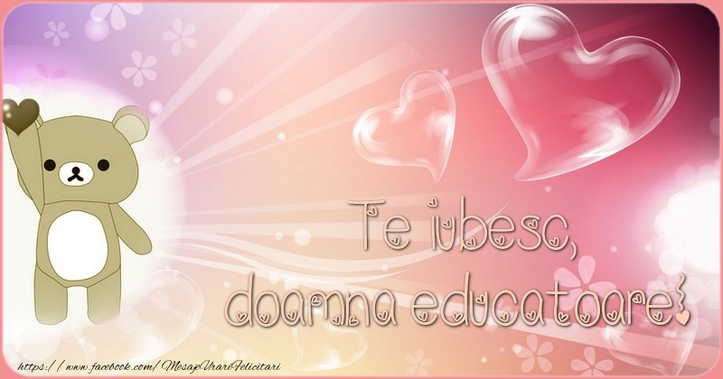 Felicitari de dragoste pentru Educatoare - Te iubesc, doamna educatoare!