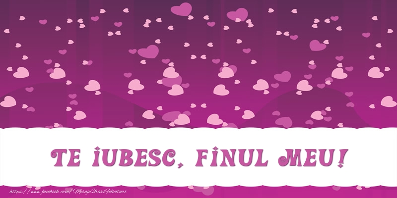 Felicitari de dragoste pentru Fin - Te iubesc, finul meu!