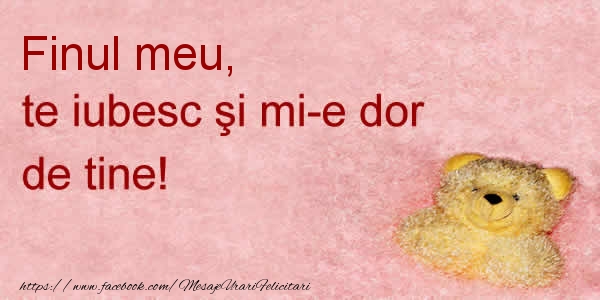 Felicitari de dragoste pentru Fin - Finul meu te iubesc si mi-e dor de tine!
