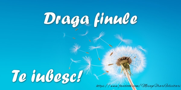 Felicitari de dragoste pentru Fin - Draga finule Te iubesc!