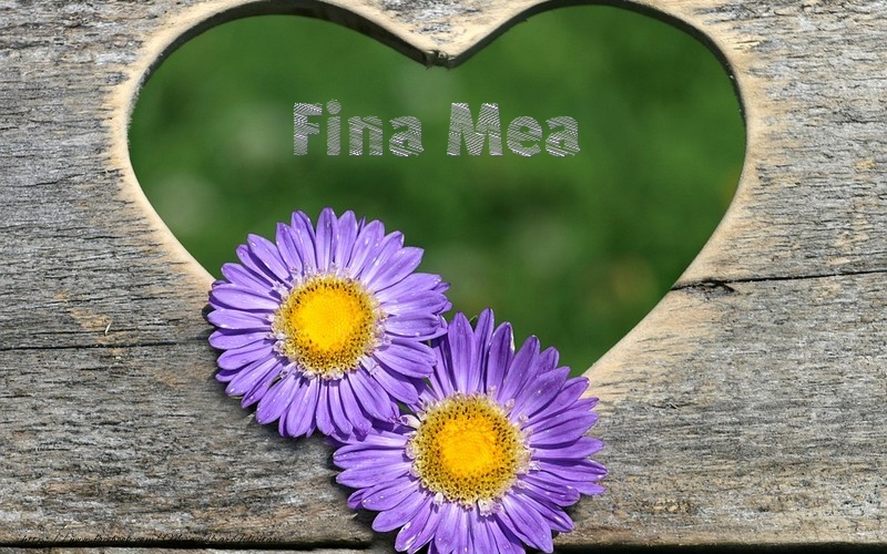 Felicitari de dragoste pentru Fina - Fina mea