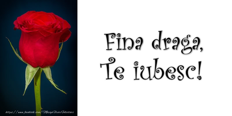 Felicitari de dragoste pentru Fina - Finuta Te iubesc!