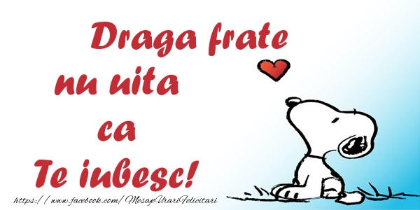 Felicitari de dragoste pentru Frate - Draga frate nu uita ca Te iubesc!