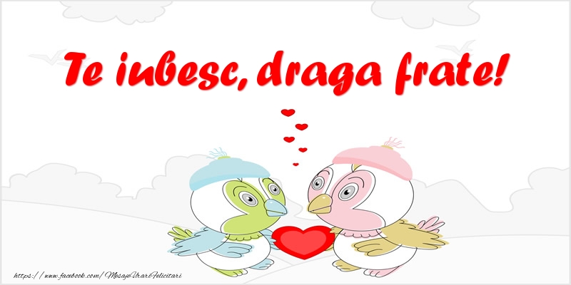 Felicitari de dragoste pentru Frate - Te iubesc, draga frate!