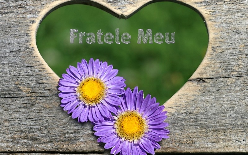 Felicitari de dragoste pentru Frate - Fratele meu