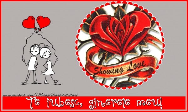 Felicitari de dragoste pentru Ginere - Te iubesc, ginerele meu!